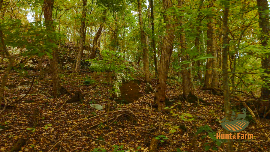 Still 2025-10-30 092500_1.67.1.png